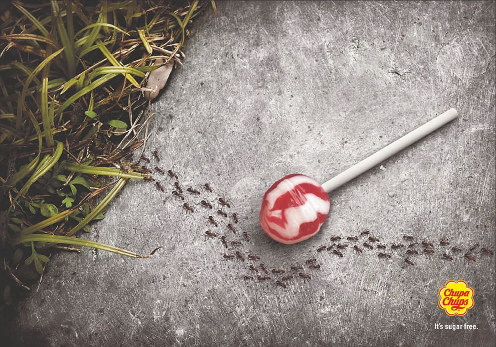 Chupa Chups sugar-free advert: ants marching past a lollipop
